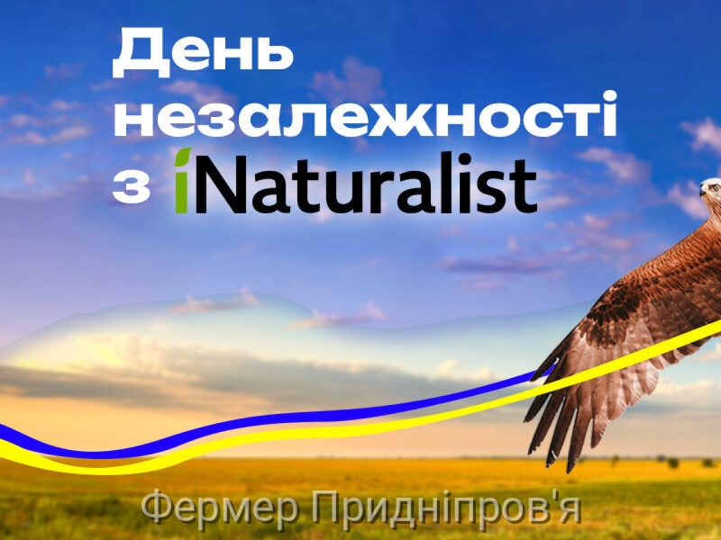 Дослідники світу в День Незалежності вивчатимуть біорізноманіття України