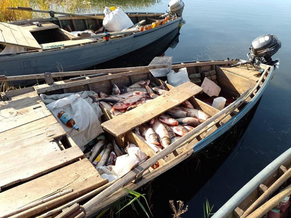 На Дніпропетровщині браконьєри виловили більше тони риби