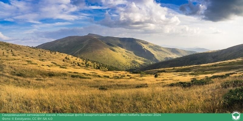 На фотоконкурсі «Вікі любить Землю» назвали регіональних переможців