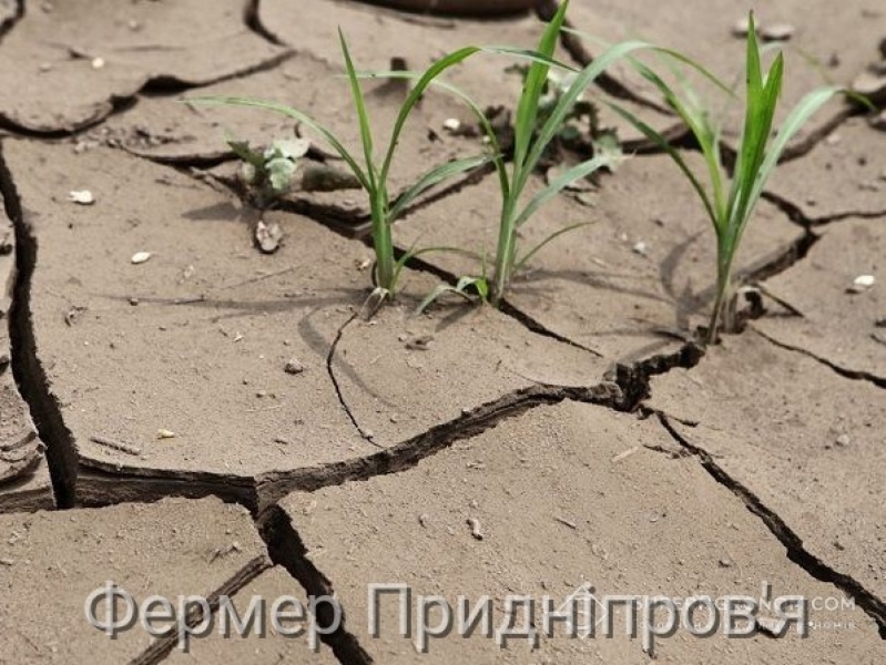 Аграрії мають адаптуватися до тривалих і частих мегапосух