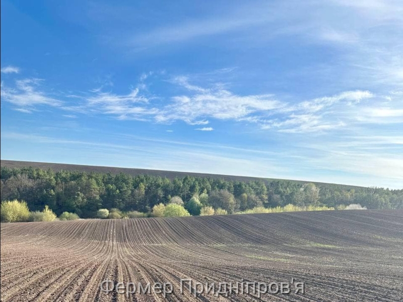 «У 2024-му обсяг проданих земель більший, ніж за перших 2,5 роки після зняття мораторію», - Віталій Коваль