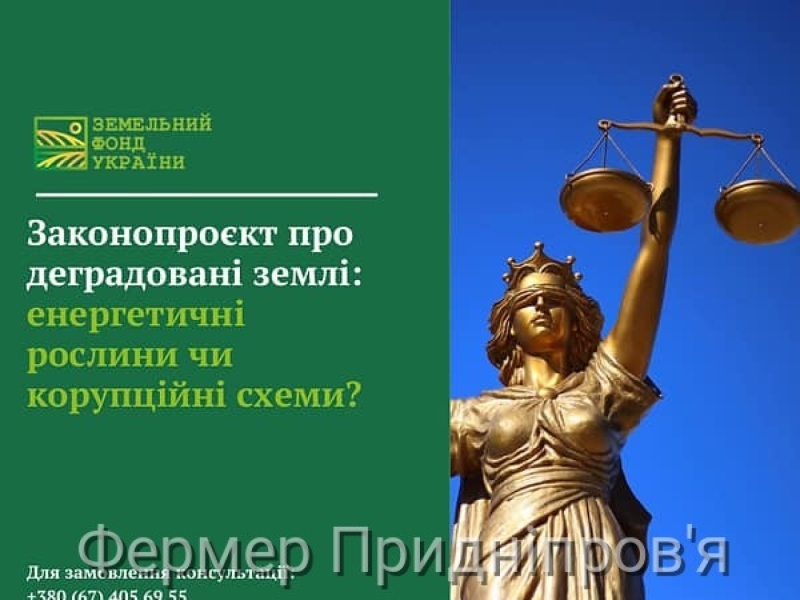 Законопроєкт про деградовані землі: енергетичні рослини чи корупційні схеми?