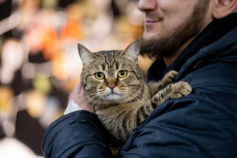 Головні події та новини Дніпра і області на кінець п'ятниці 7 лютого