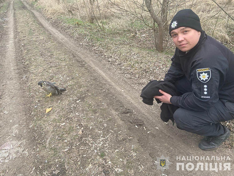 Криворізькі поліцейські врятували птаха зі зламаним крилом